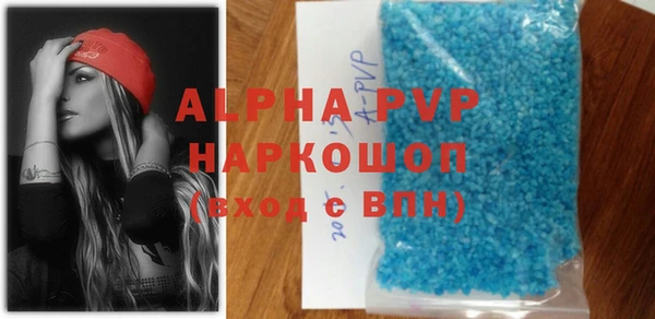 прущие грибы Гусиноозёрск