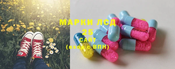 стаф Горно-Алтайск